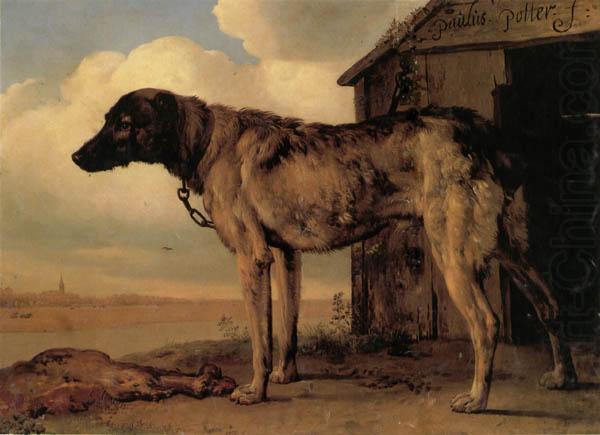 POTTER, Paulus Watchdog china oil painting image